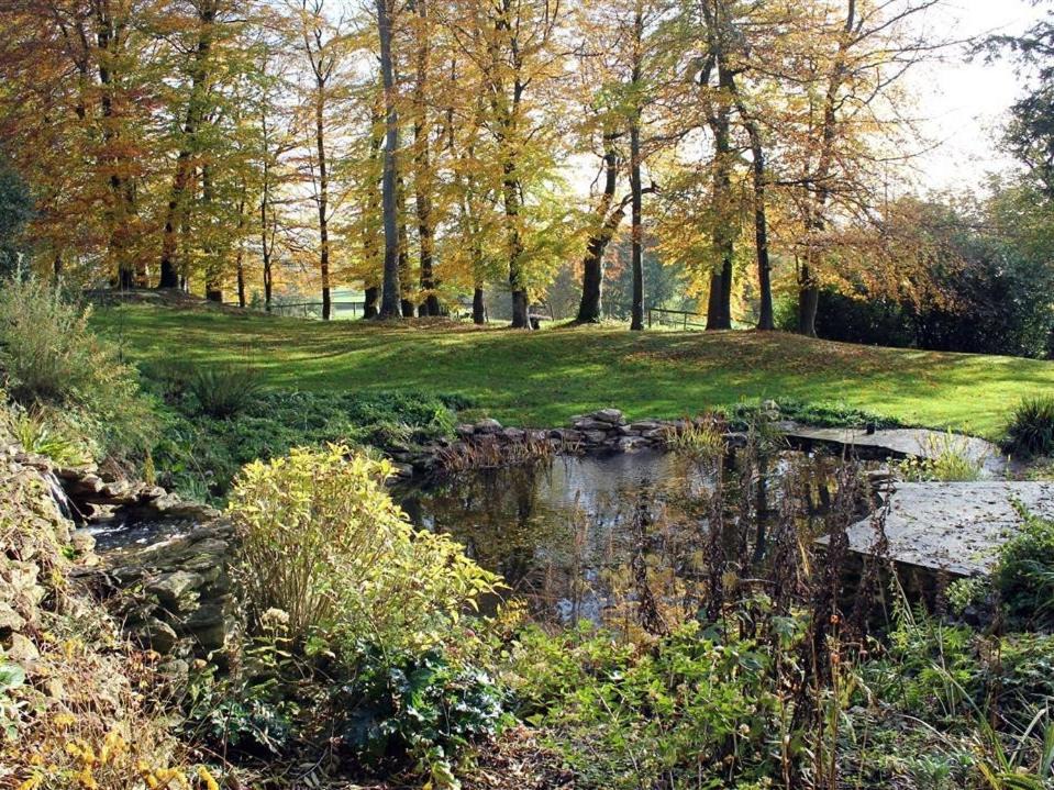 Photo of Others in Corton