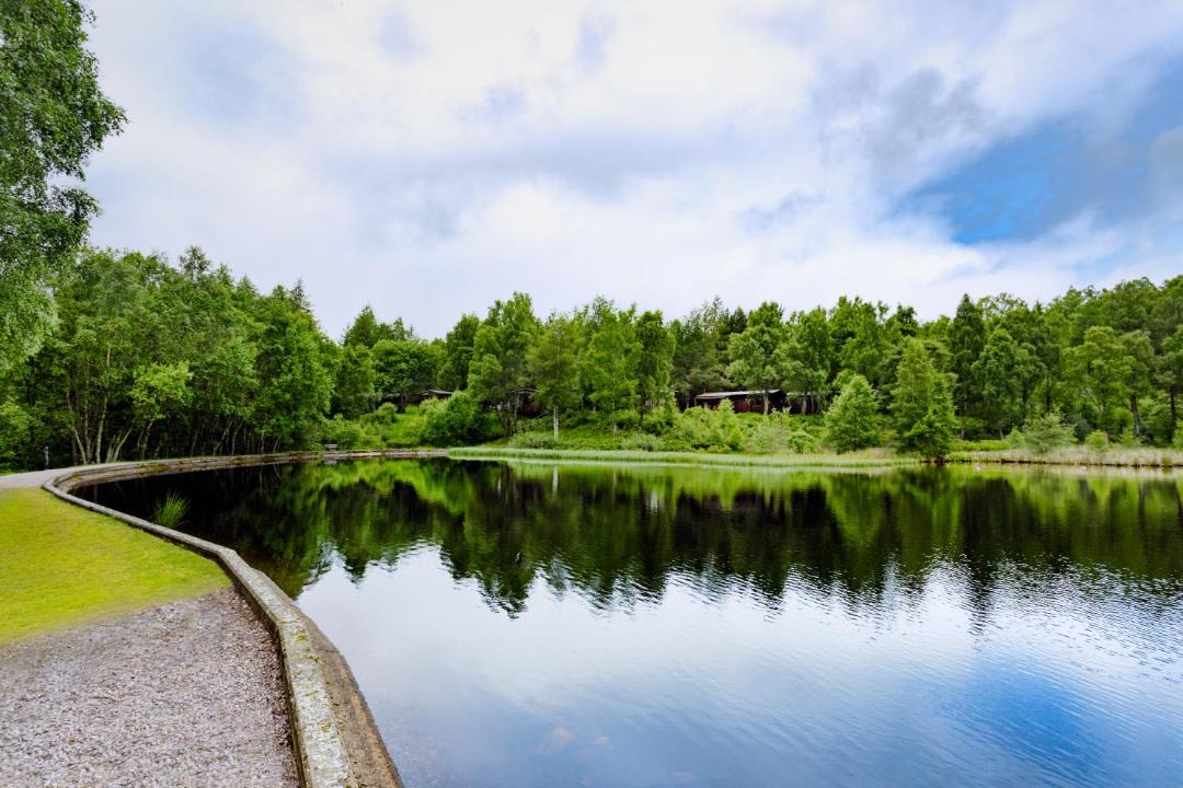 Photo of Others in Carrbridge