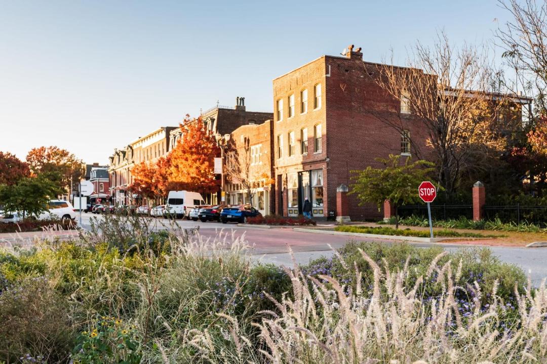 Photo of Buildings in Lafayette Square
