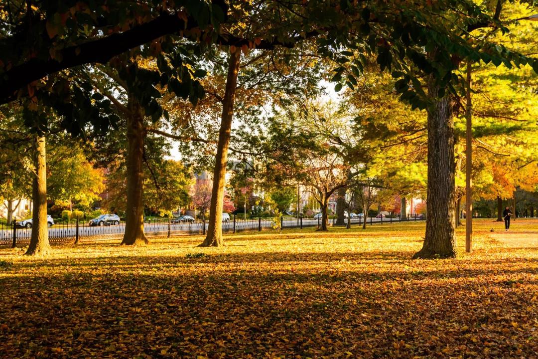 Photo of Others in Lafayette Square