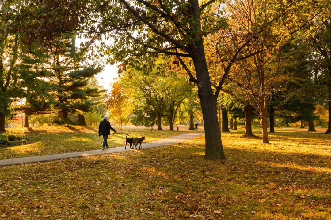 Photo of Outdoor in Lafayette Square