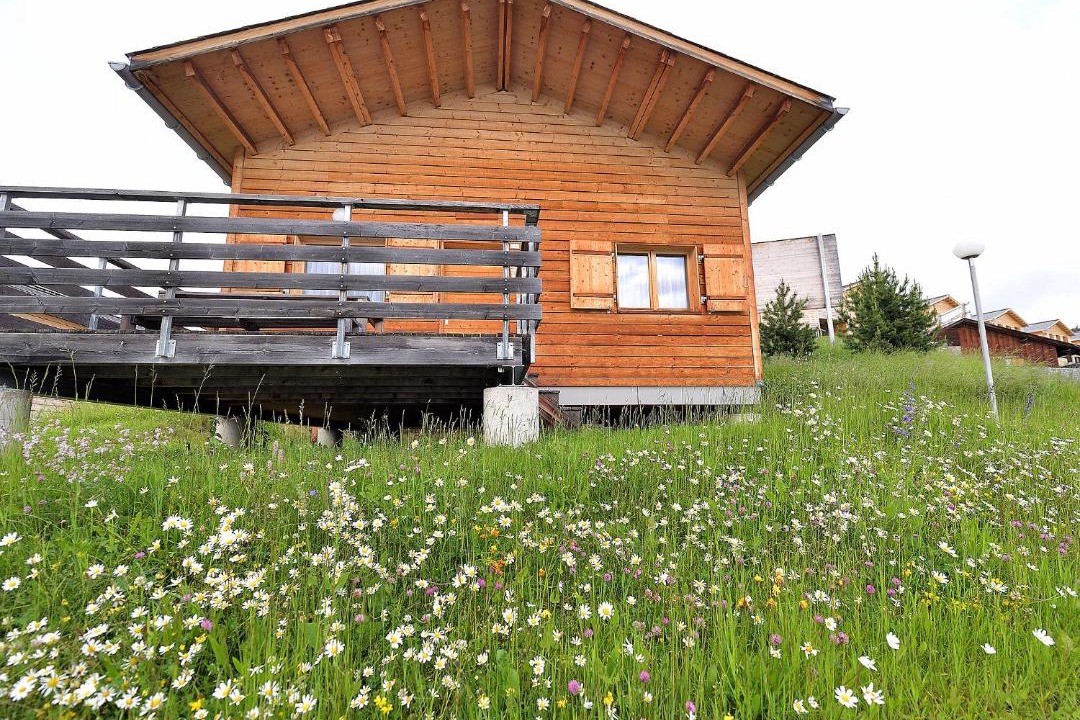 Photo of Buildings in Oberurmein