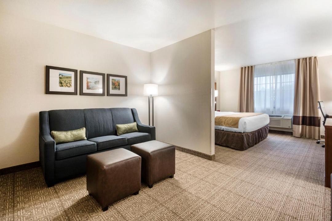 Photo of Others in King