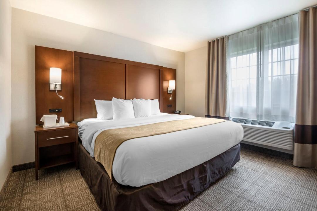 Photo of Others in King