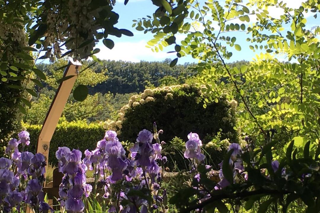 Photo of Others in Sisteron