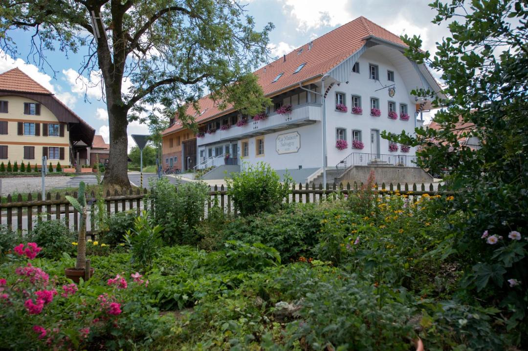 Photo of Others in Murten