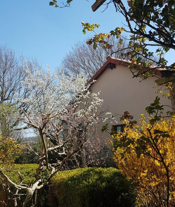 Photo of Others in Chieulles