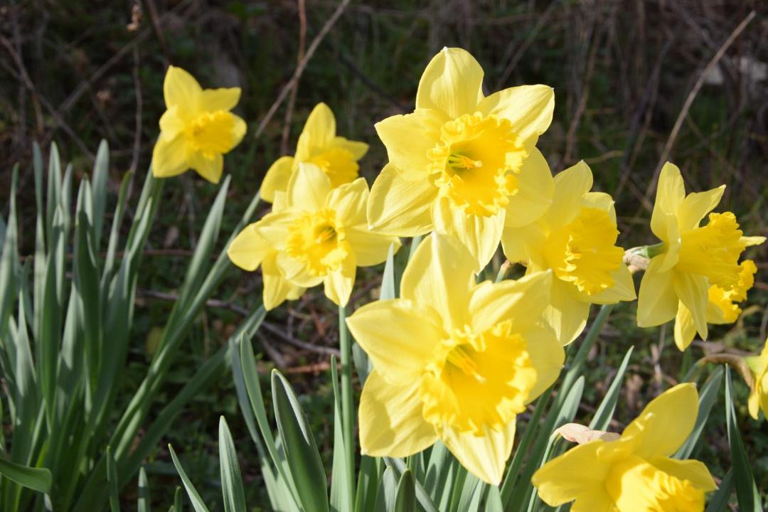 Photo of Others in Chateauneuf-Miravail