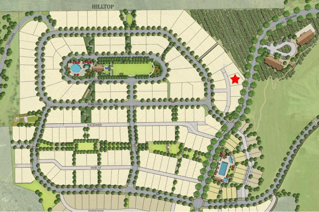 Photo of Buildings in Chelan