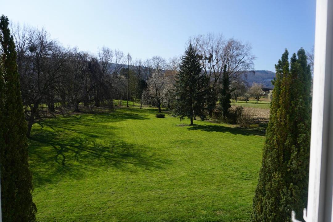 Photo of Others in Metzerlen