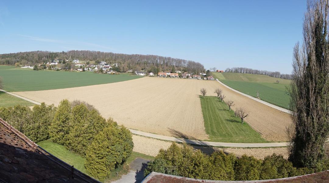 Photo of Others in Metzerlen