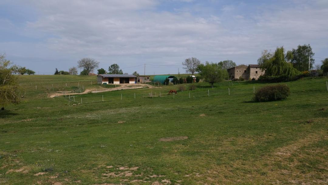 Photo of Others in Cheminas