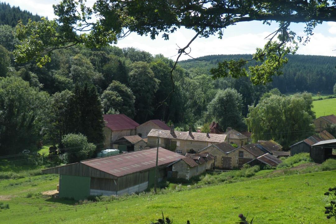 Photo of Others in Balaives-et-Butz