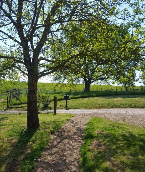 Photo of Outdoor in Denee