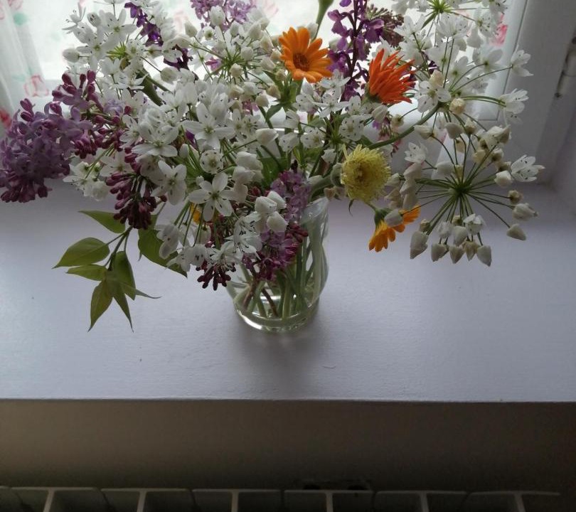 Photo of Others in Brugairolles