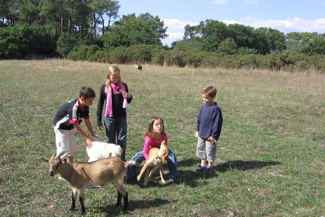 Photo of Others in La Gacilly