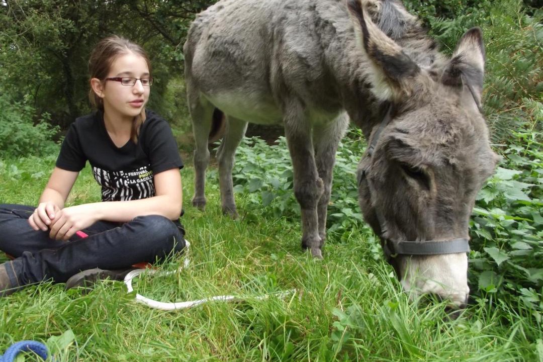 Photo of Others in La Gacilly