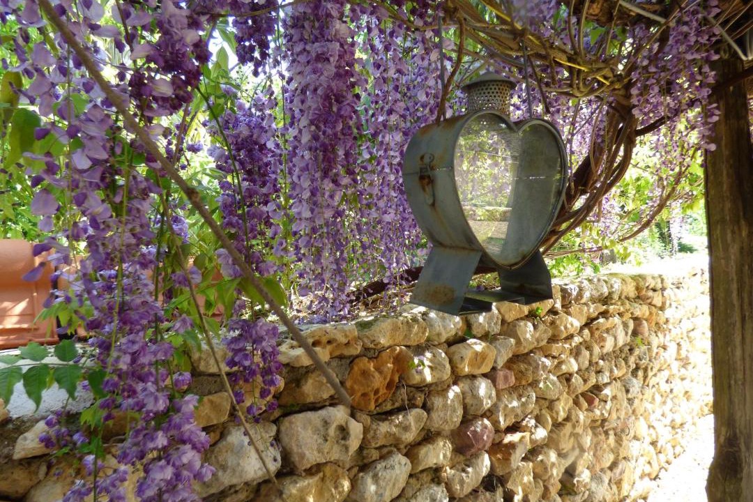 Photo of Others in Douville