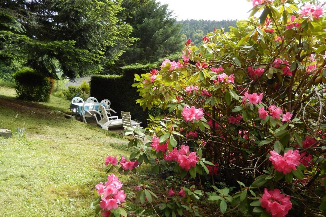 Photo of Others in Mont-Dore