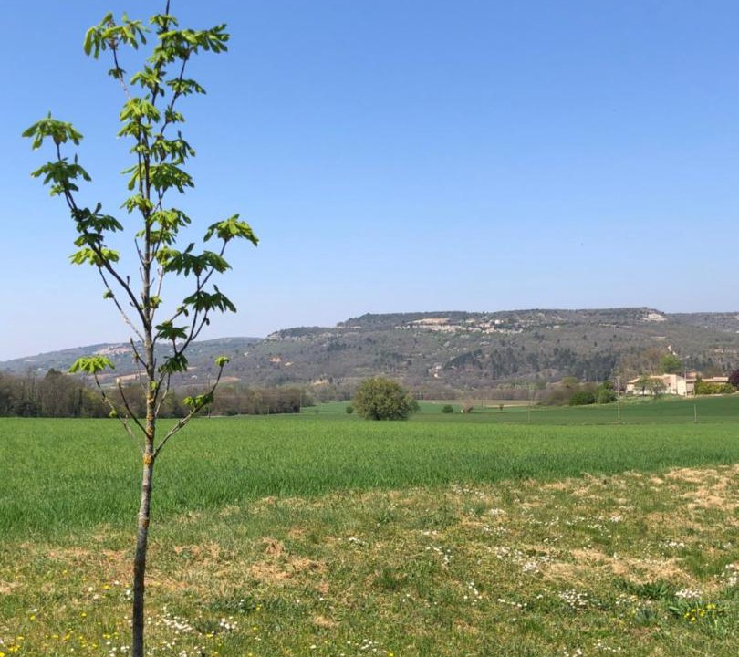 Photo of Outdoor in Cereste