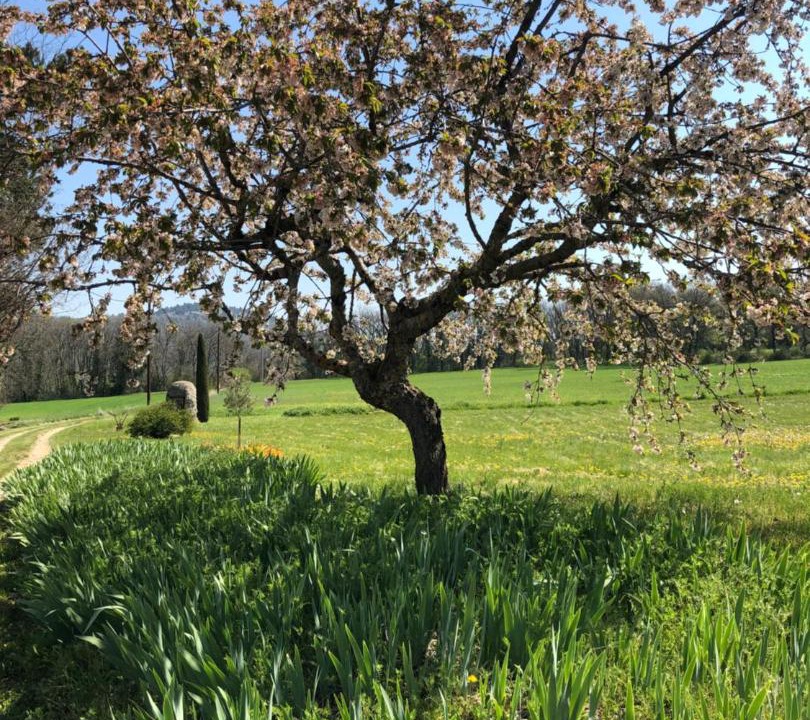 Photo of Buildings in Cereste