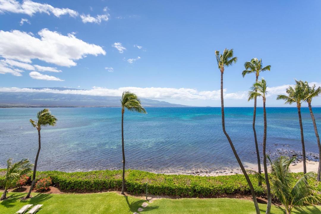 Photo of Others in Maalaea