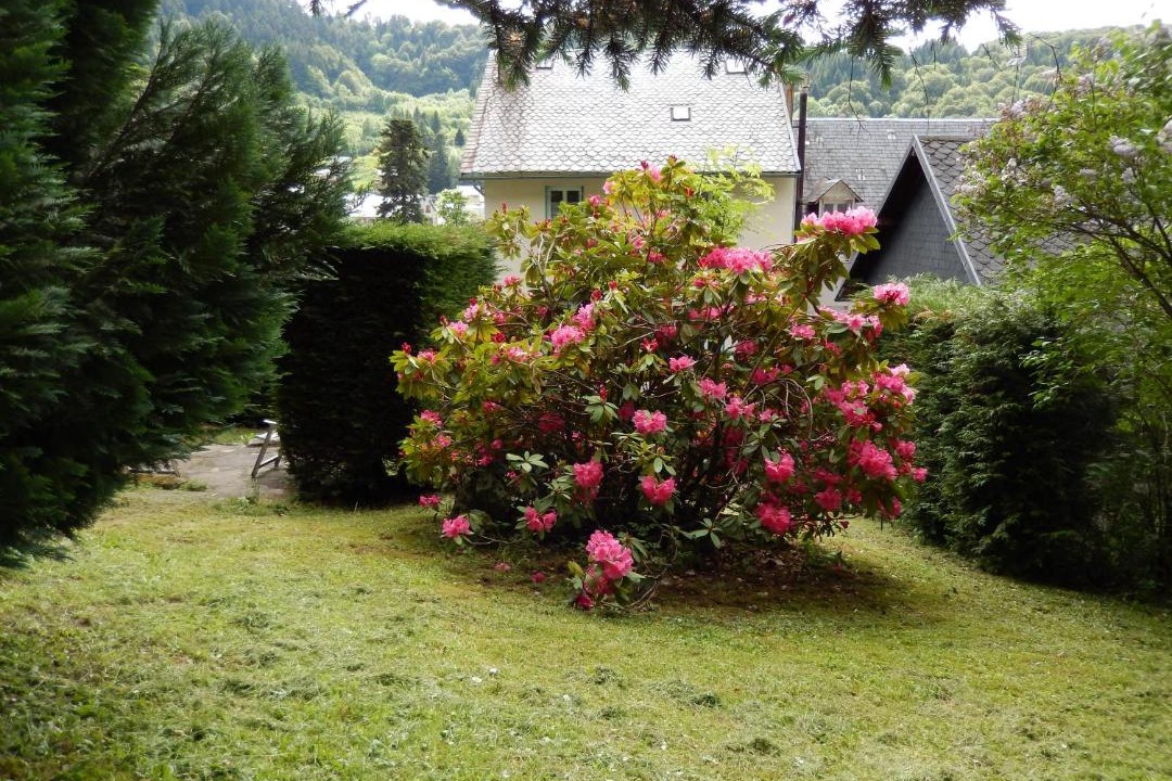 Photo of Others in Mont-Dore