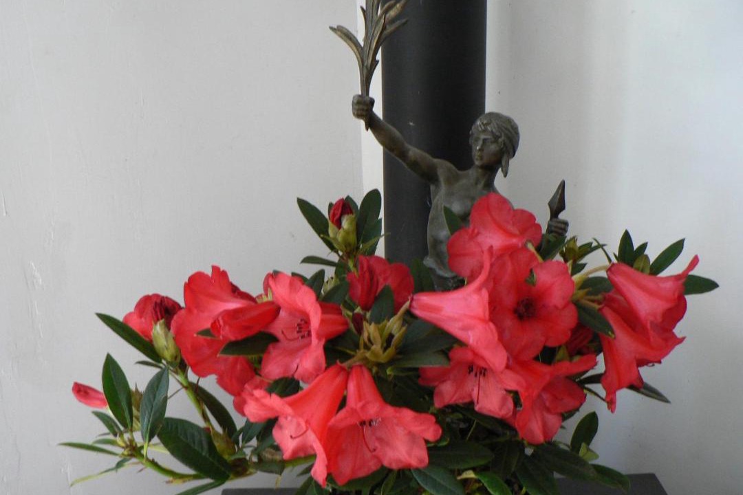 Photo of Others in Mers-les-Bains