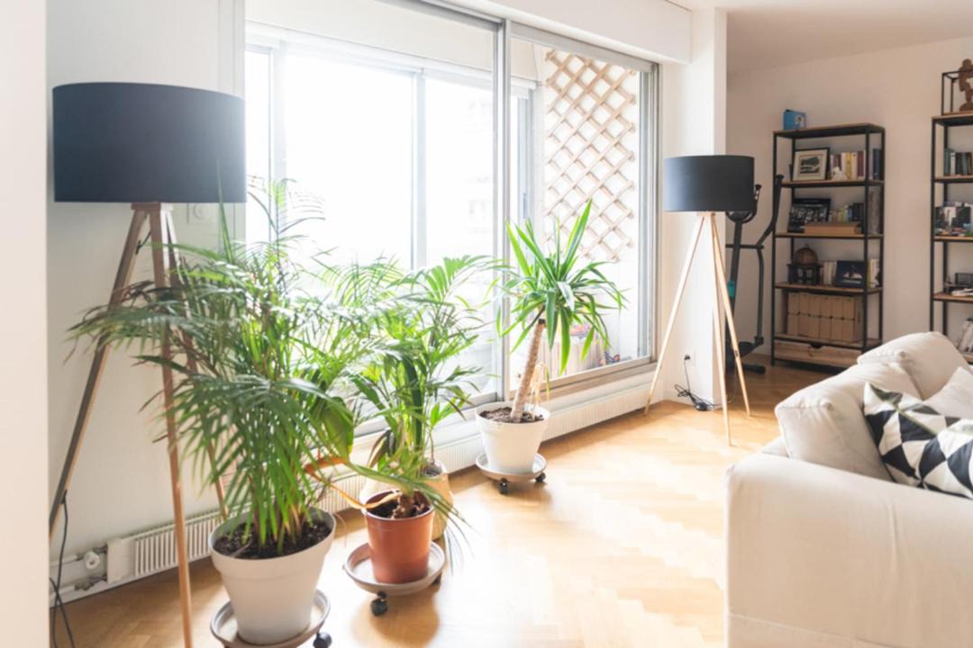 Photo of Livingroom in Flandres