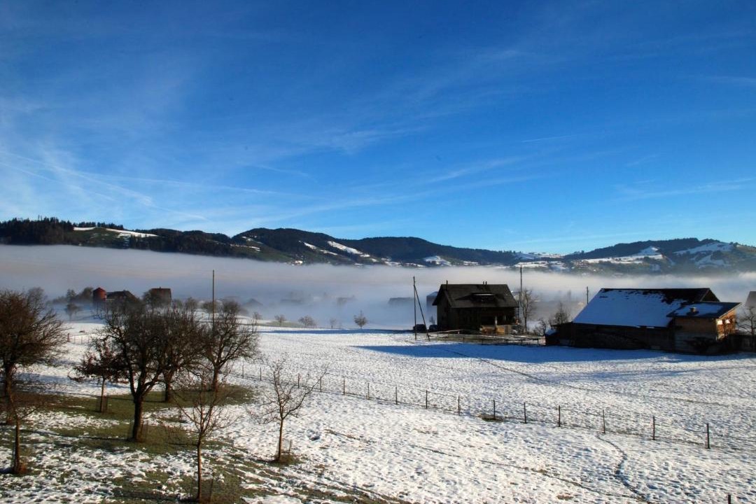 Photo of Others in Unterageri