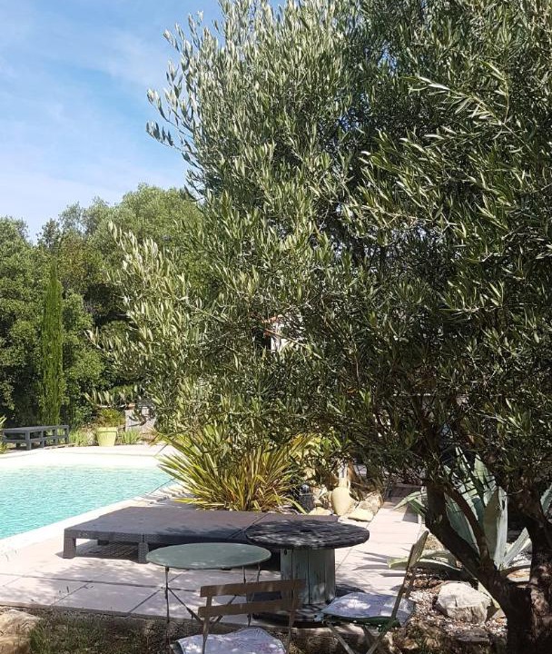 Photo of Outdoor in Evenos