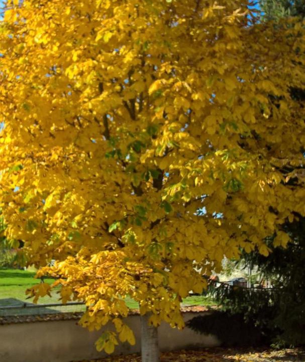 Photo of Others in Bayard-sur-Marne