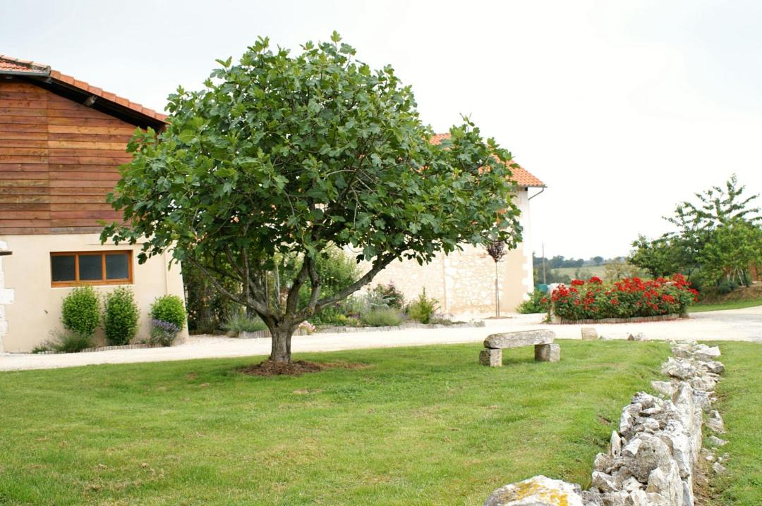 Photo of Others in Saint-Orens