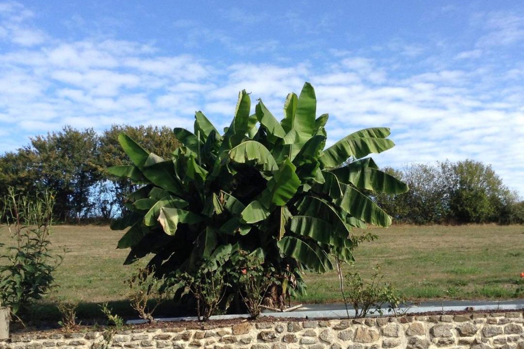 Photo of Others in Ize