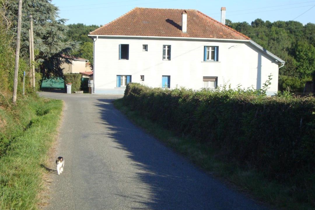 Photo of Others in Uglas