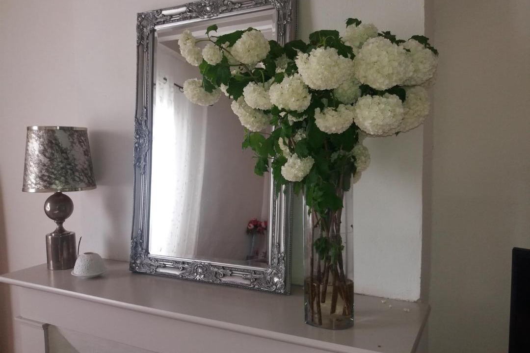 Photo of Others in Bourriot-Bergonce