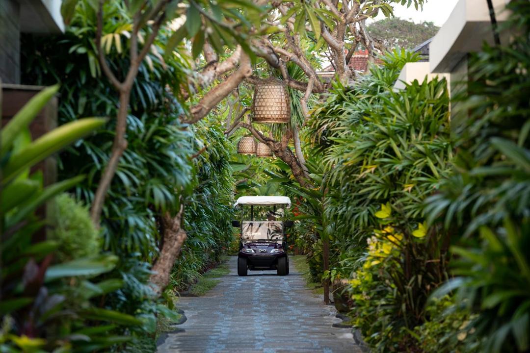 Photo of Others in Drupadi