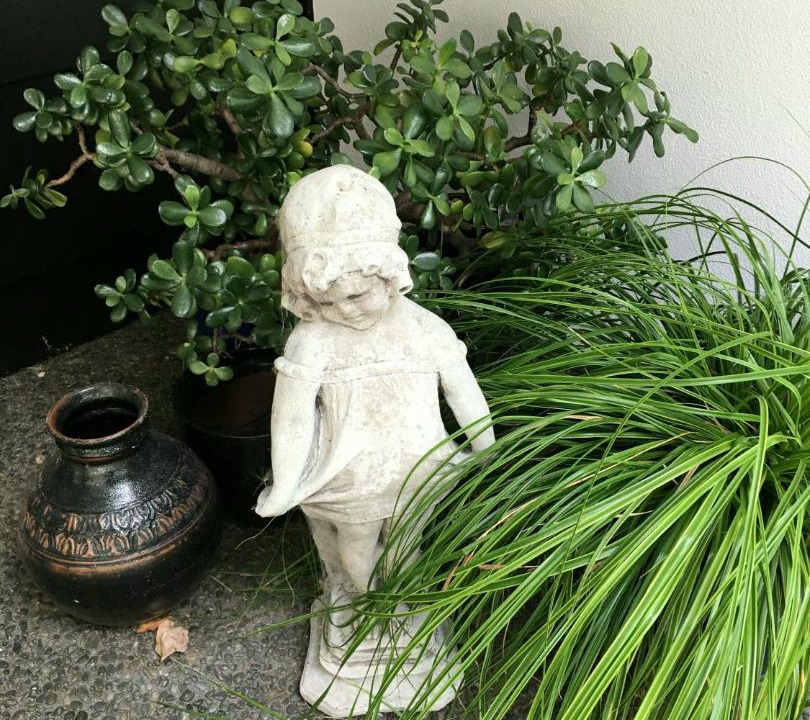 Photo of Others in Karapiro