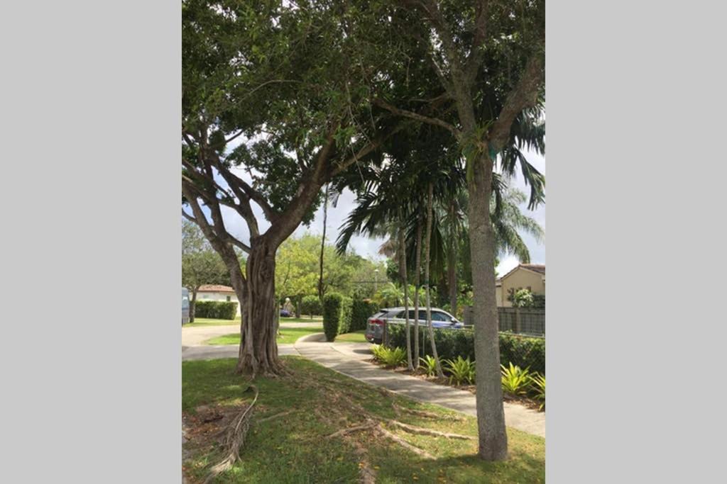 Photo of Others in Coral Way