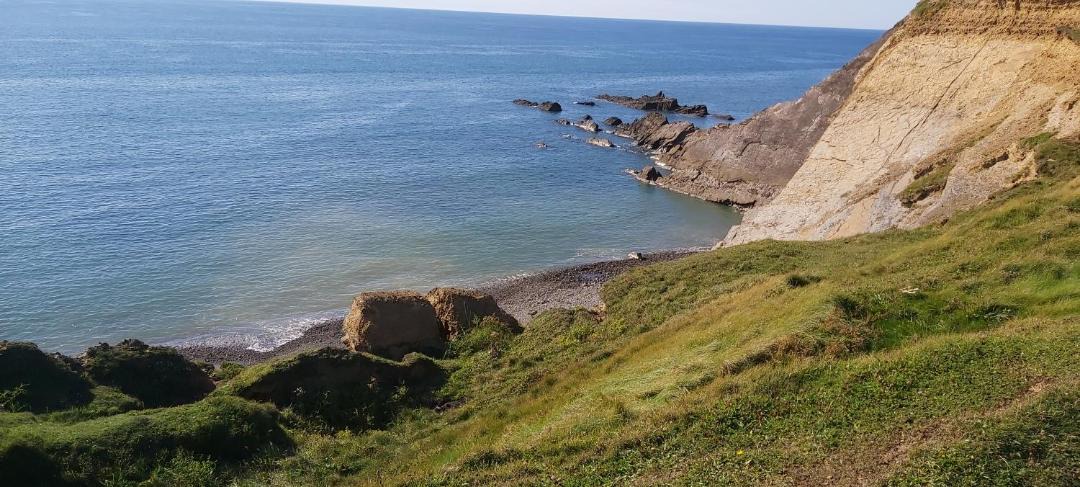 Photo of Others in Stibb