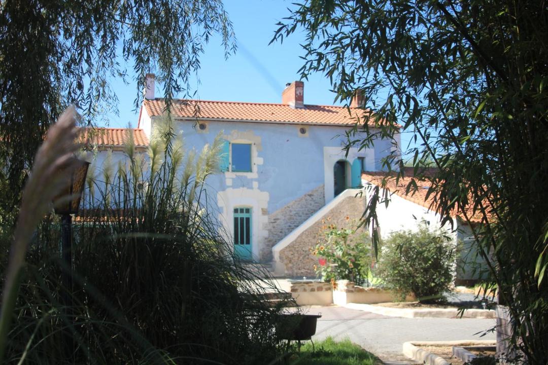 Photo of Others in Saint Viaud