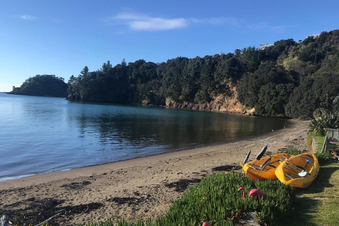 Photo of Outdoor in Tutukaka