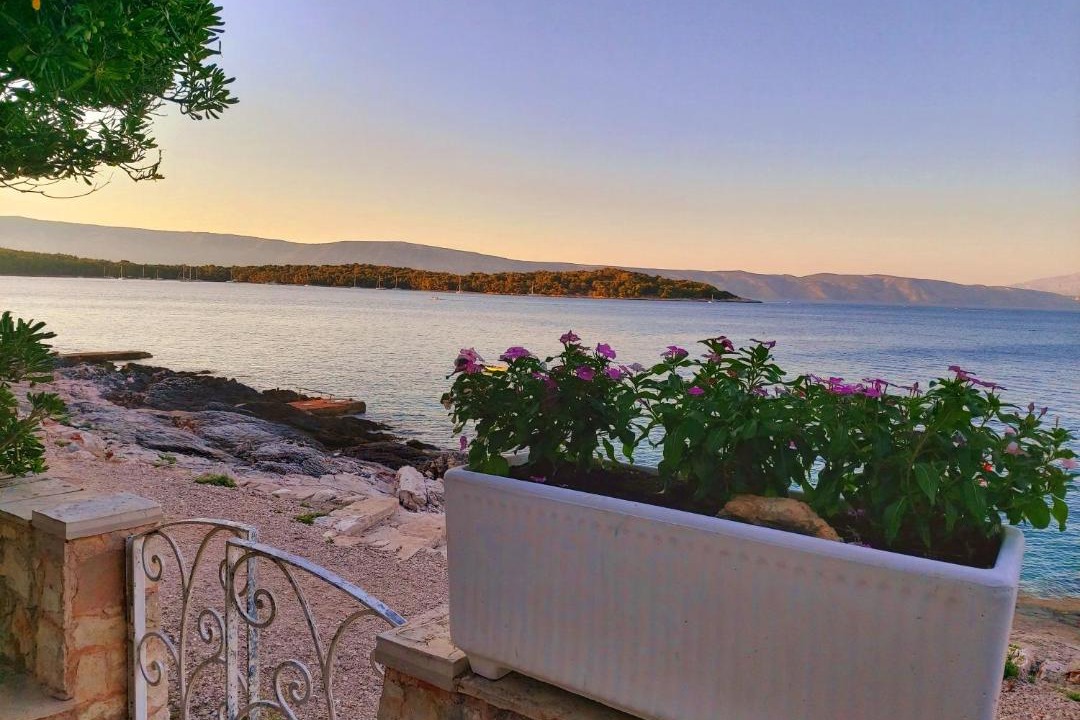 Photo of Others in Island Hvar