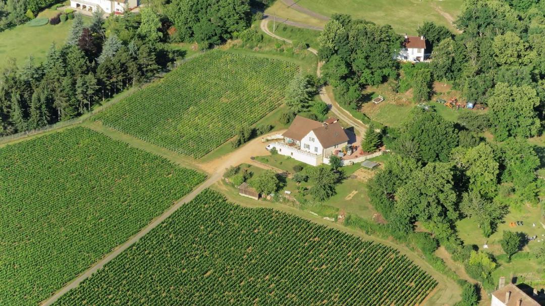 Photo of Others in Buxy