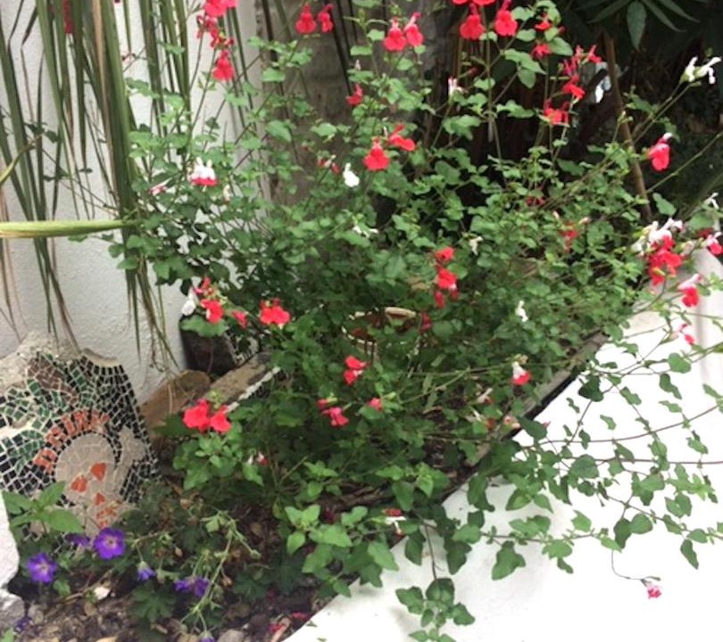 Photo of Others in Prince's