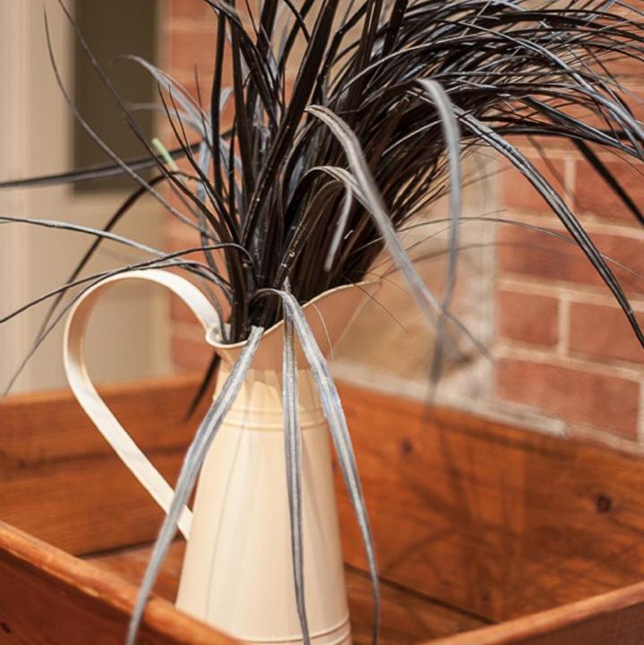 Photo of Others in Tanunda