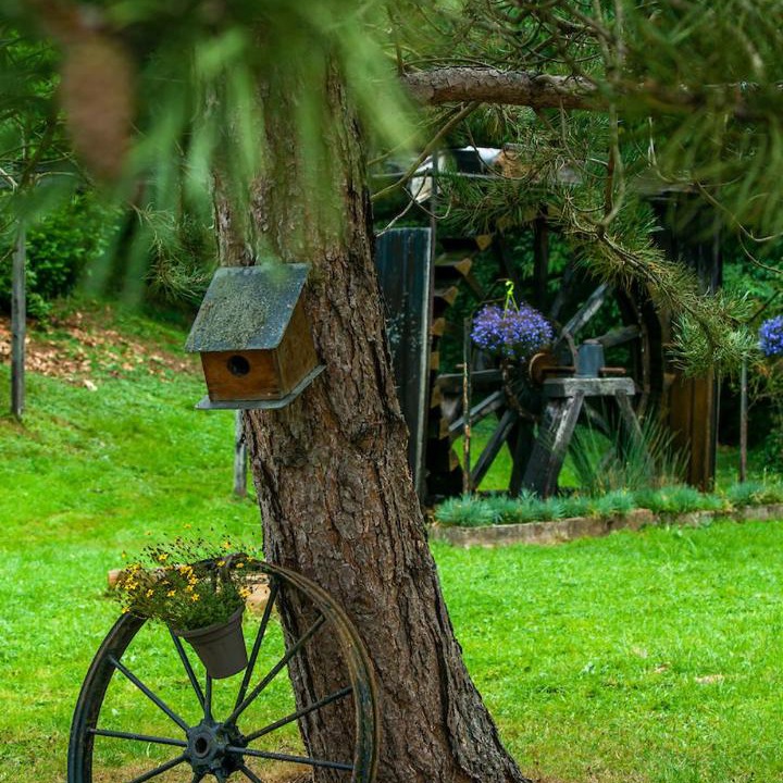 Photo of Others in Lonny