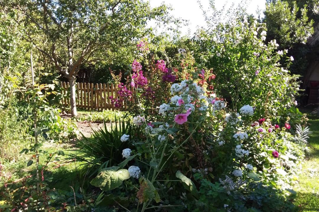 Photo of Others in Bouville