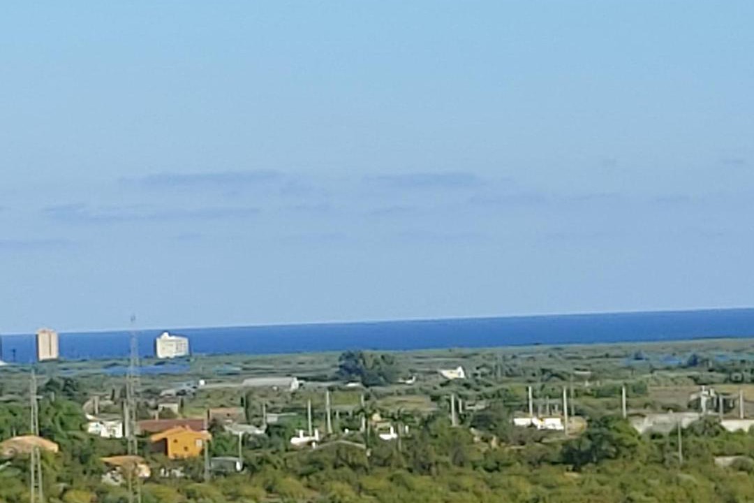 Photo of Others in Torreblanca