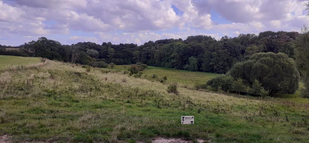 Photo of Others in Vester Skerninge